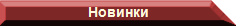 Новые виды продукции